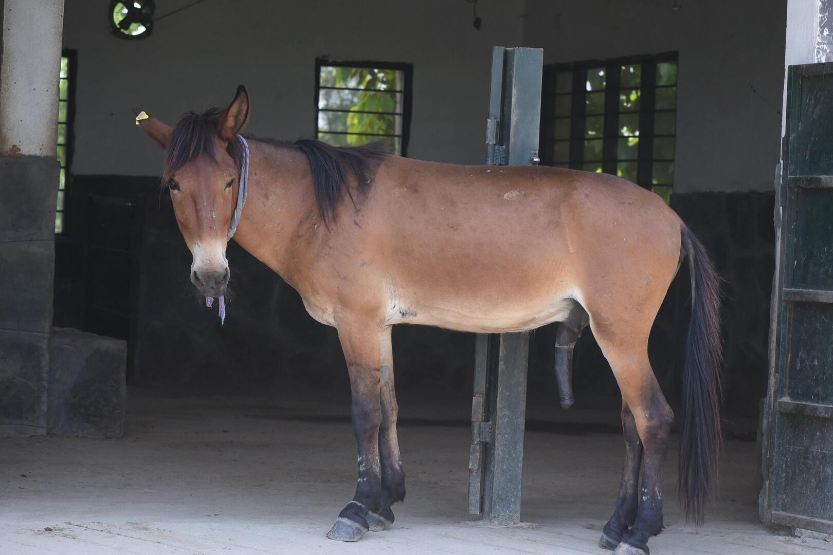 Category 5 Image 1